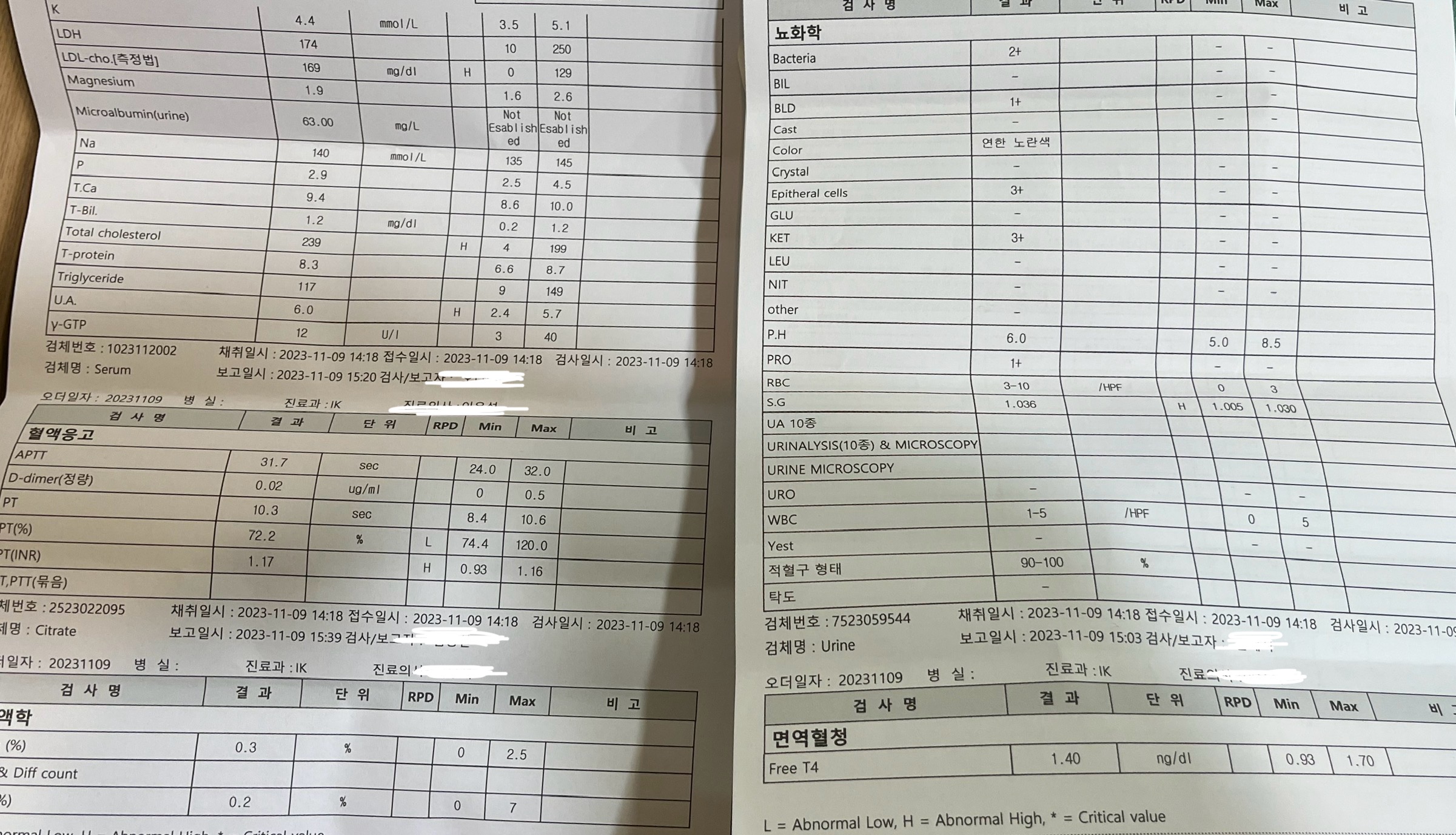2번 째 사진