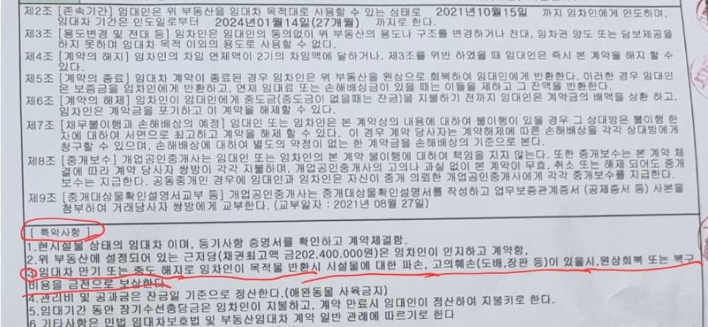 2번 째 사진