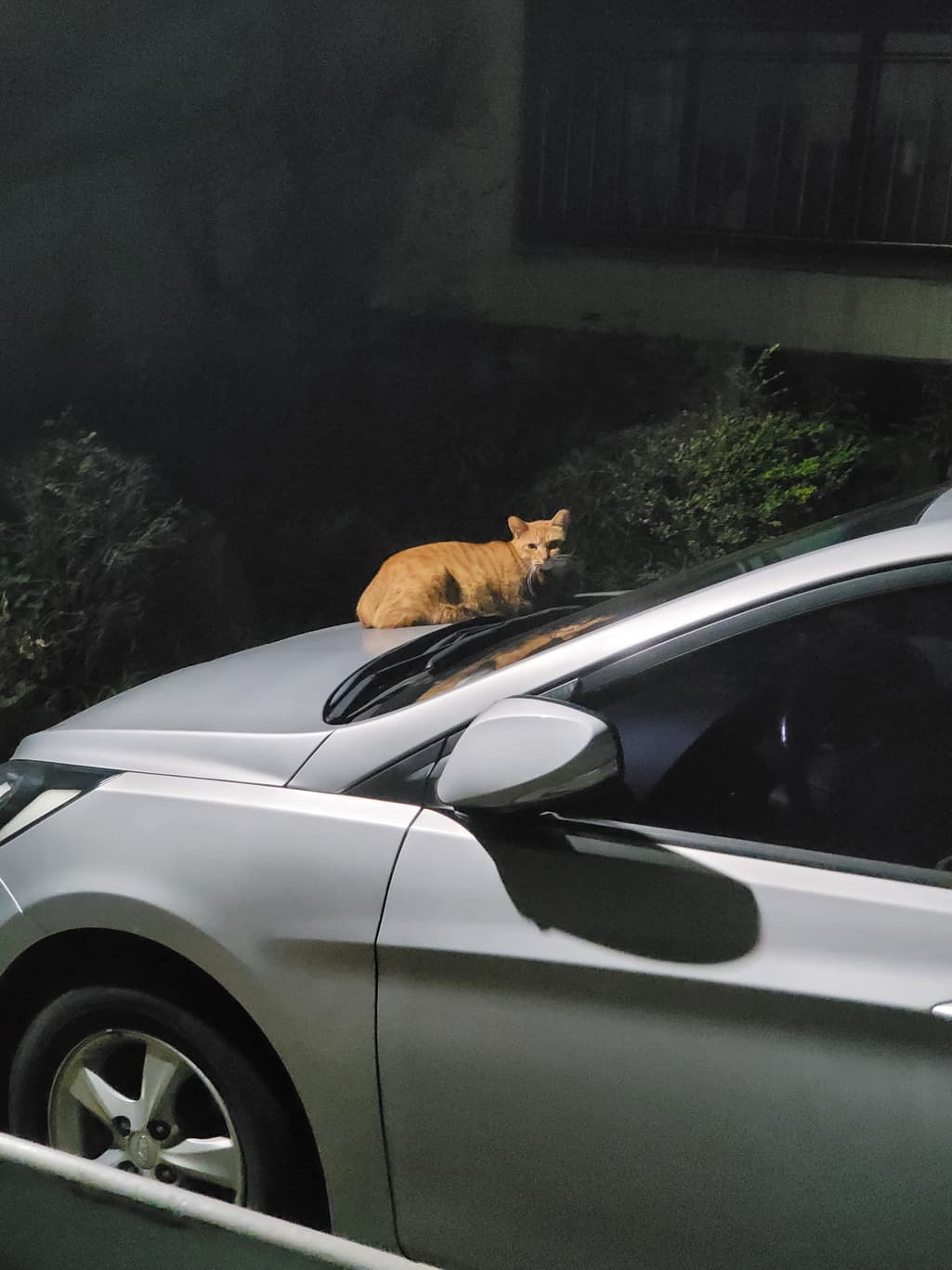 3번 째 사진