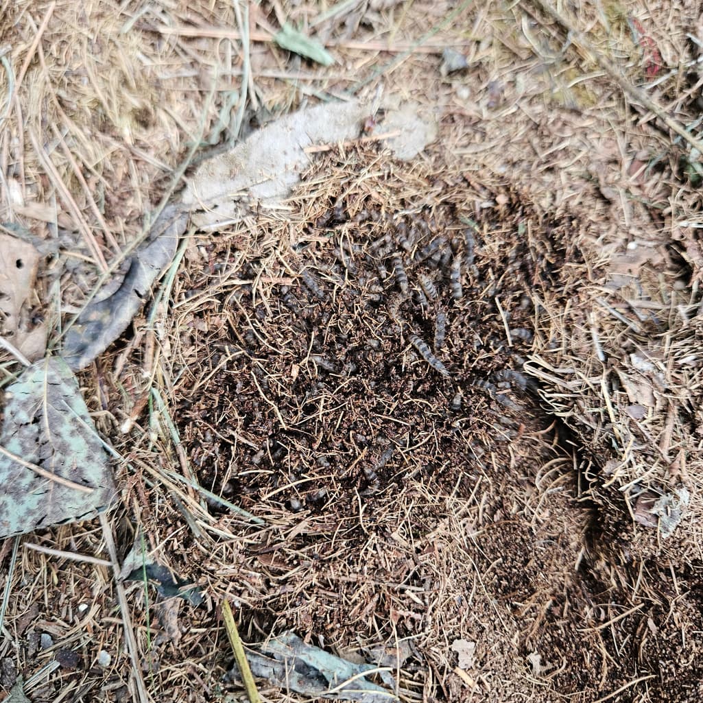 2번 째 사진