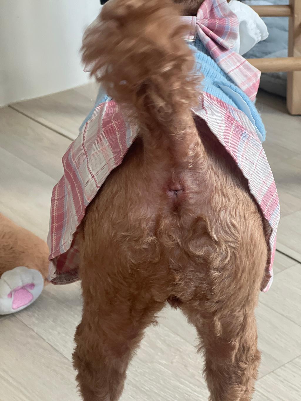 2번 째 사진