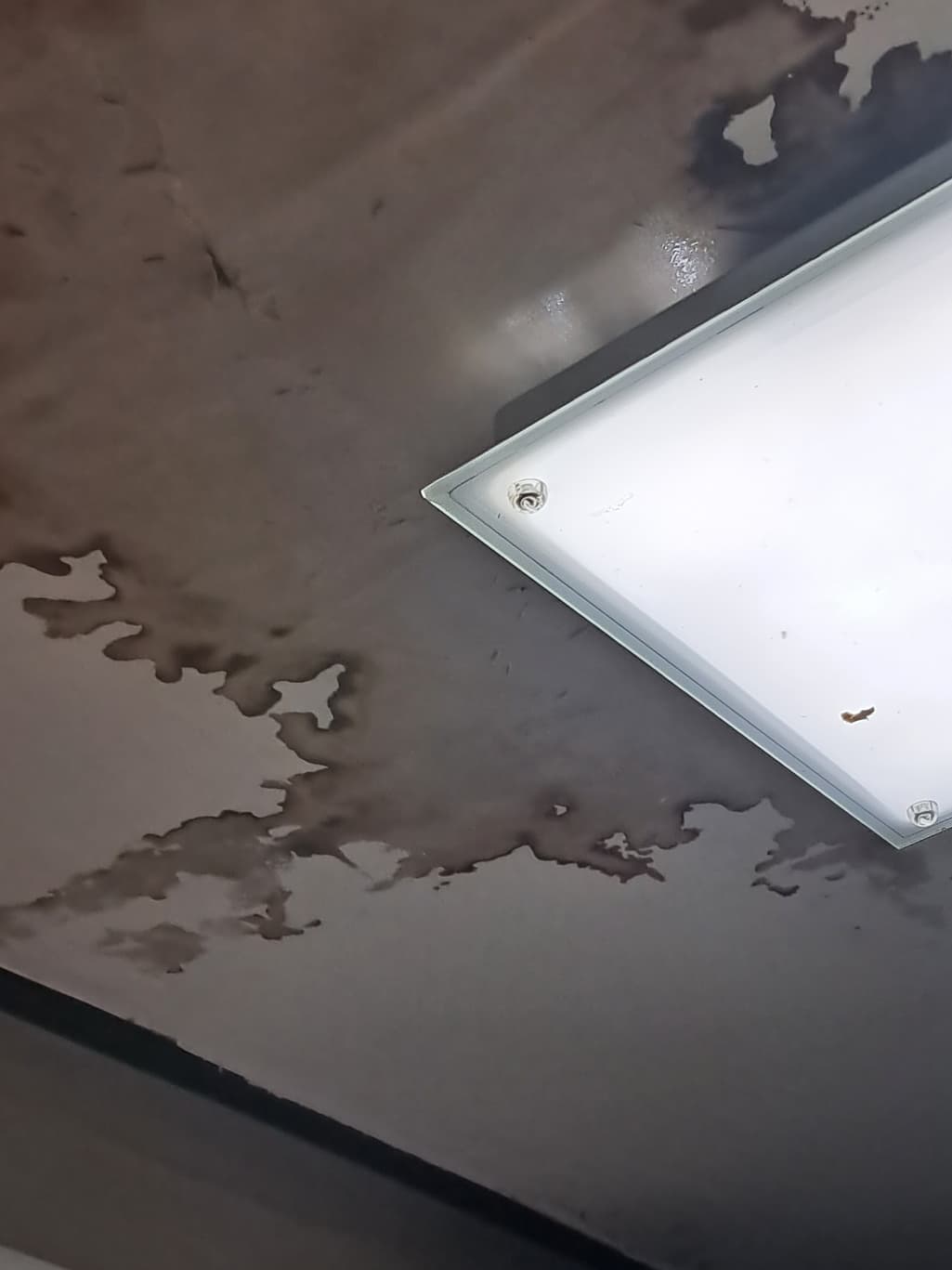 7번 째 사진