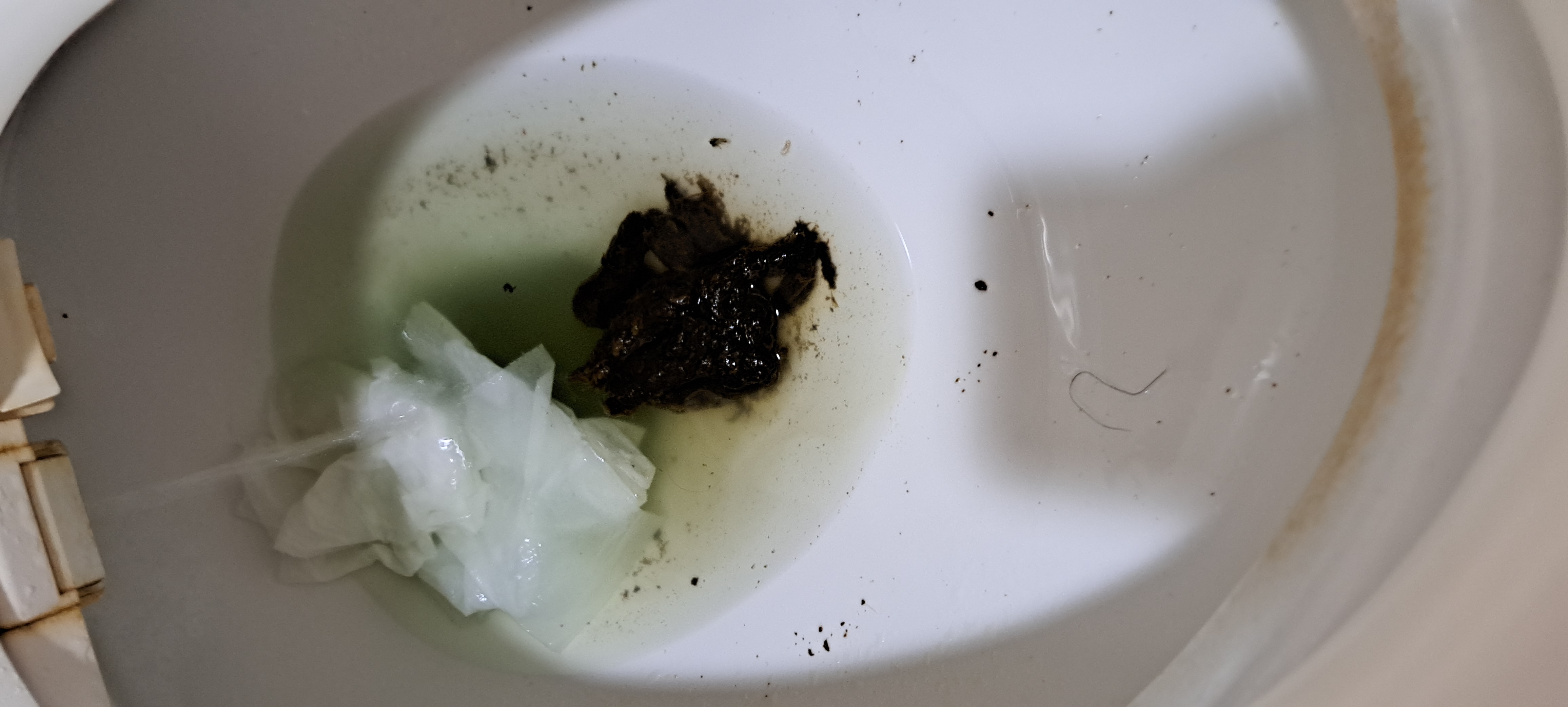 3번 째 사진