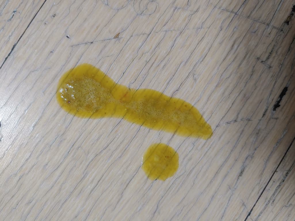 2번 째 사진