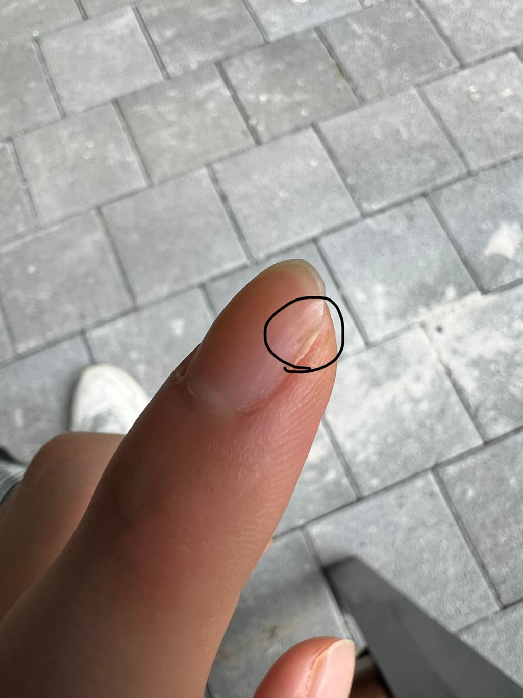 1번 째 사진