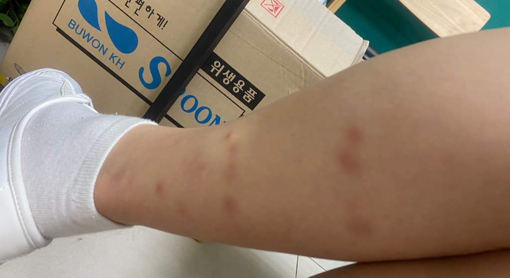 5번 째 사진