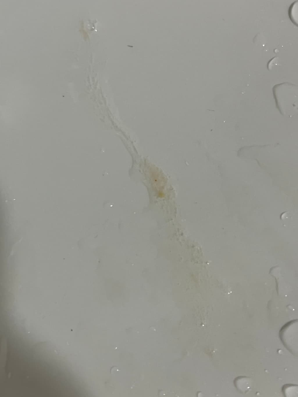 2번 째 사진