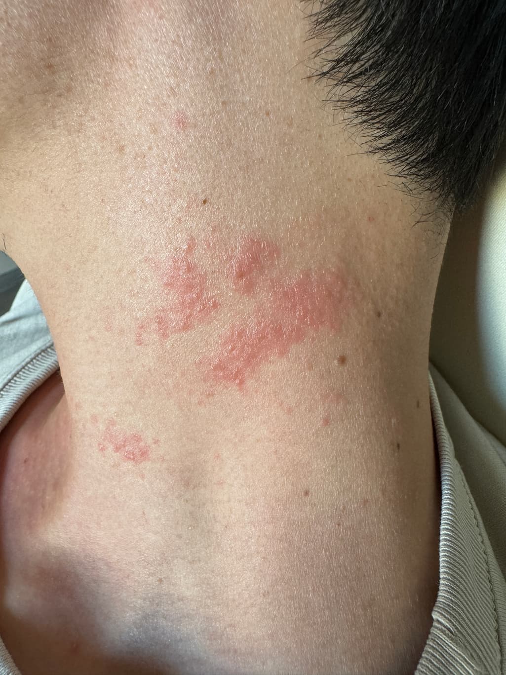 7번 째 사진