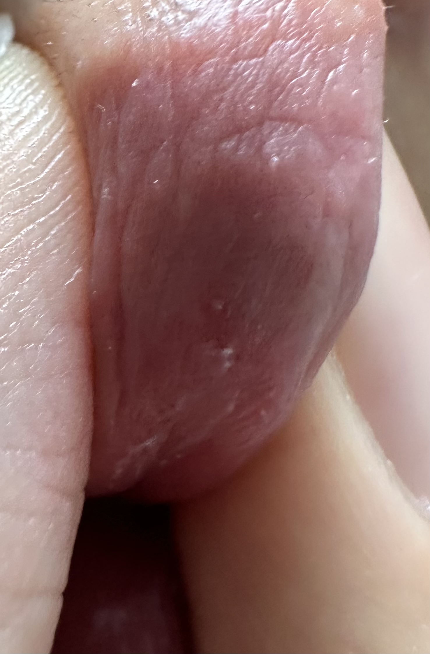 7번 째 사진