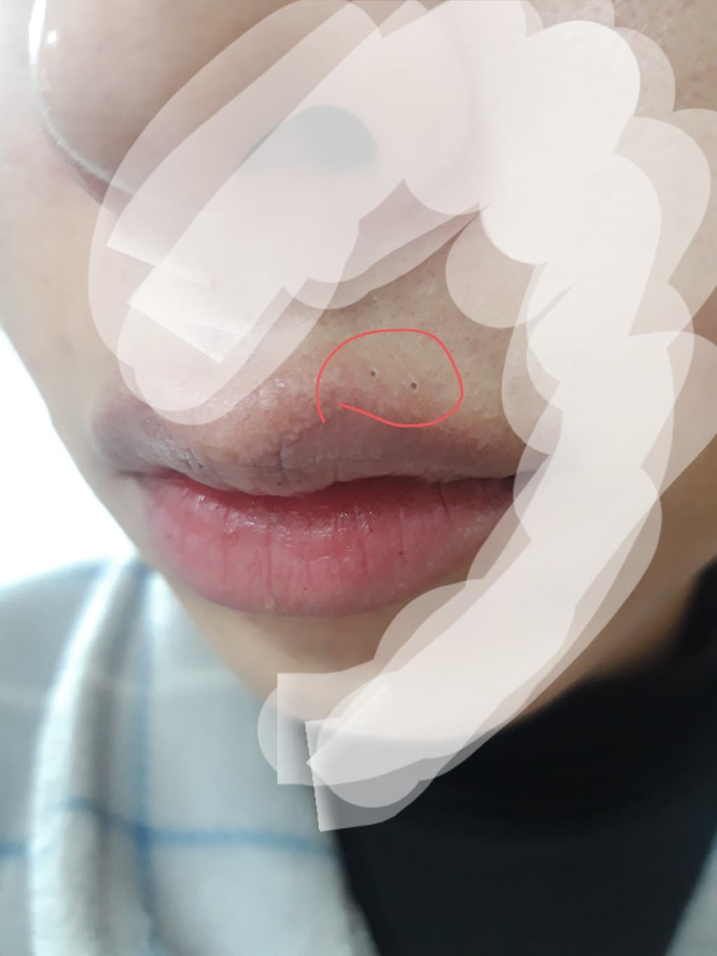 2번 째 사진