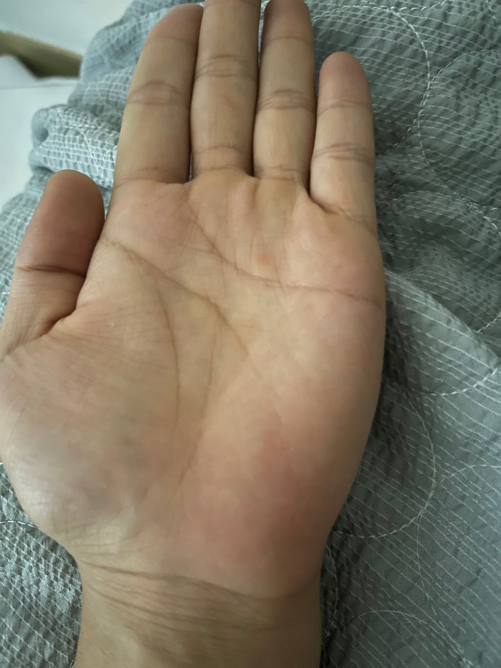 2번 째 사진