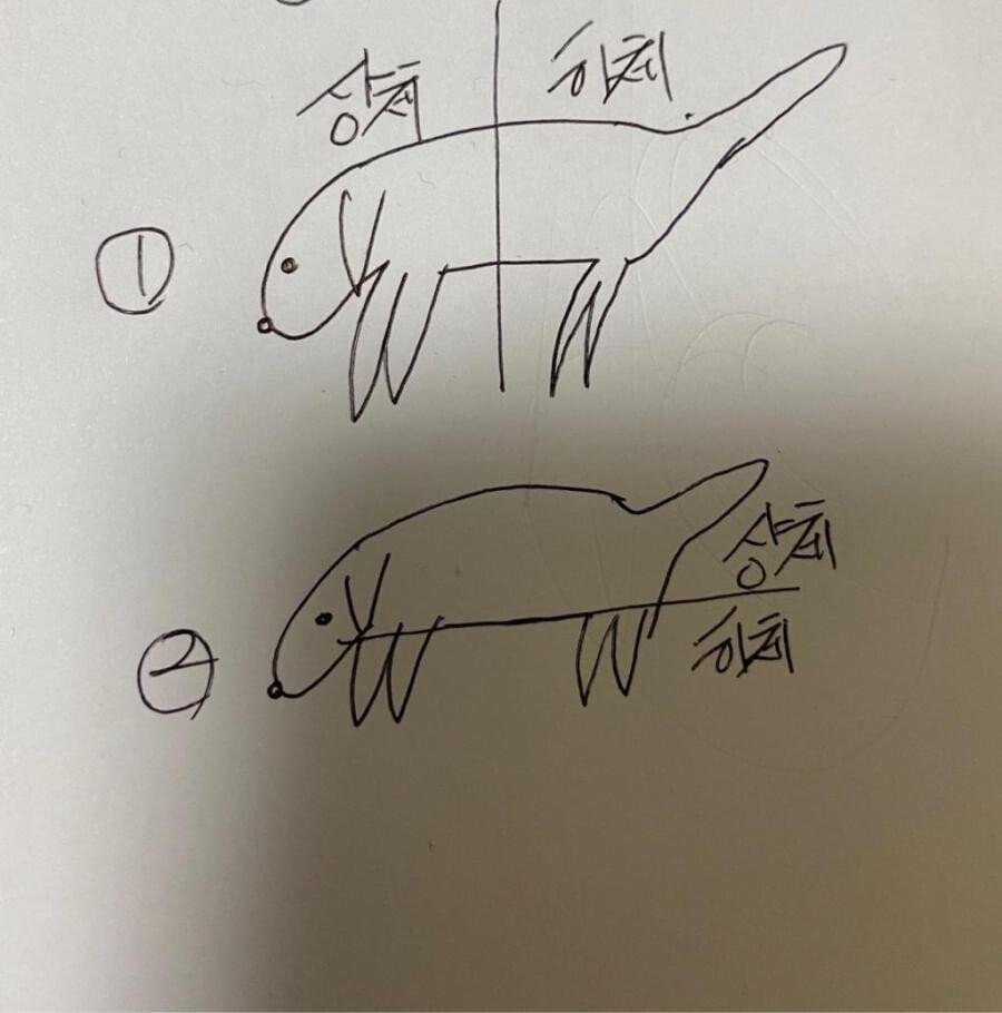 1번 째 사진