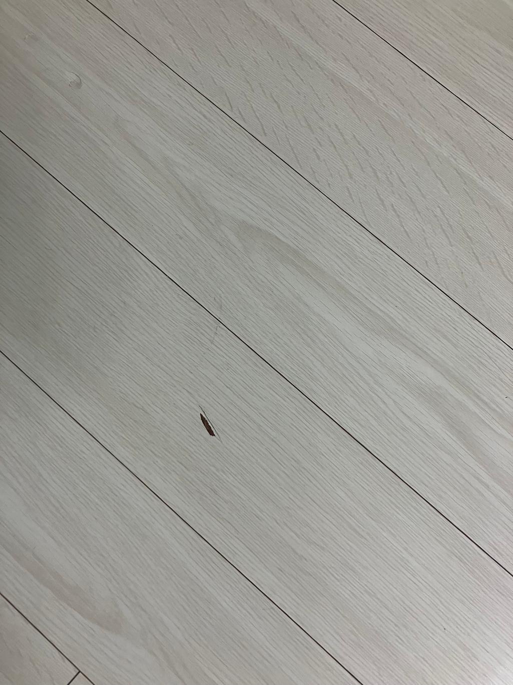 2번 째 사진