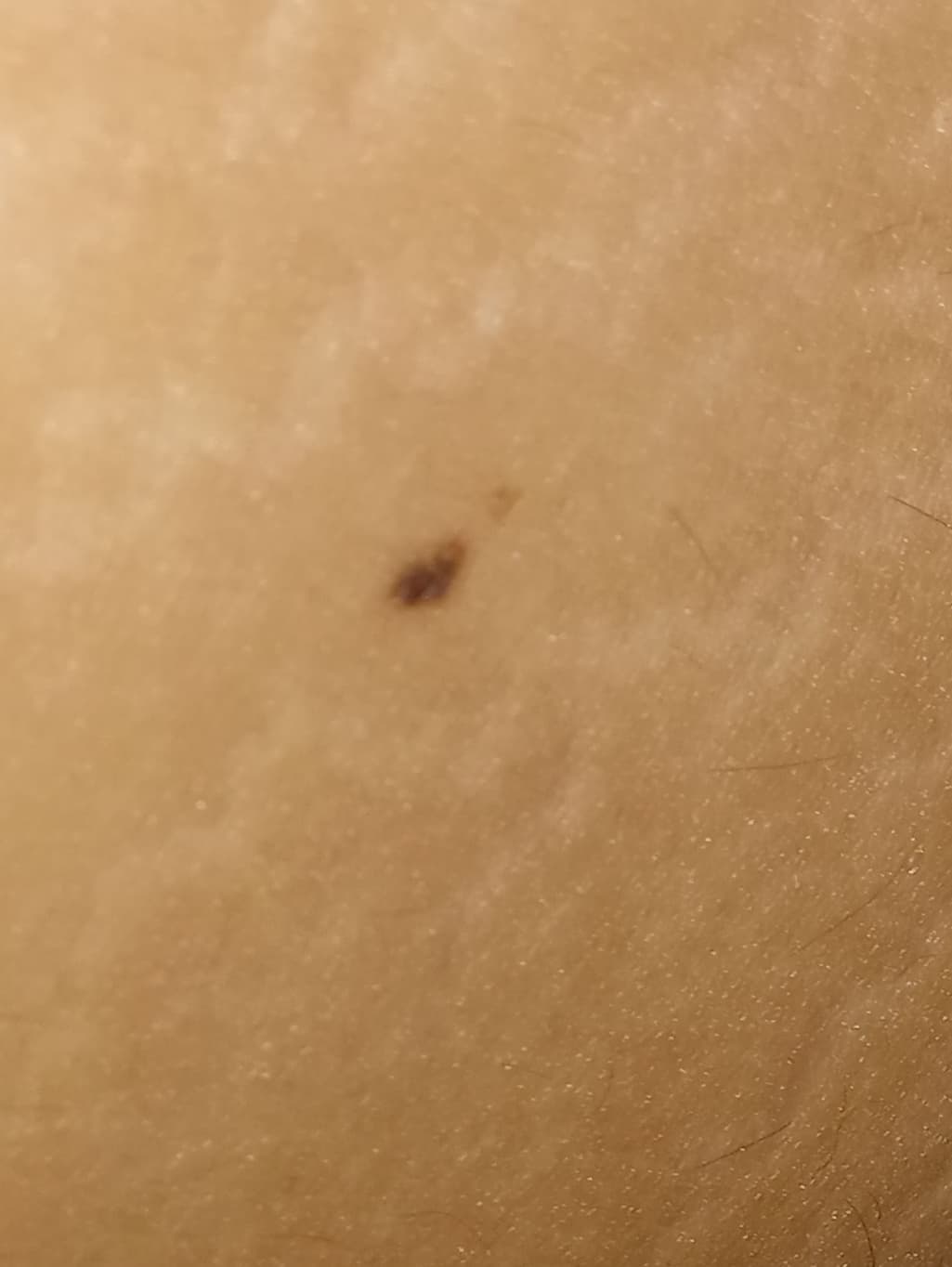 6번 째 사진