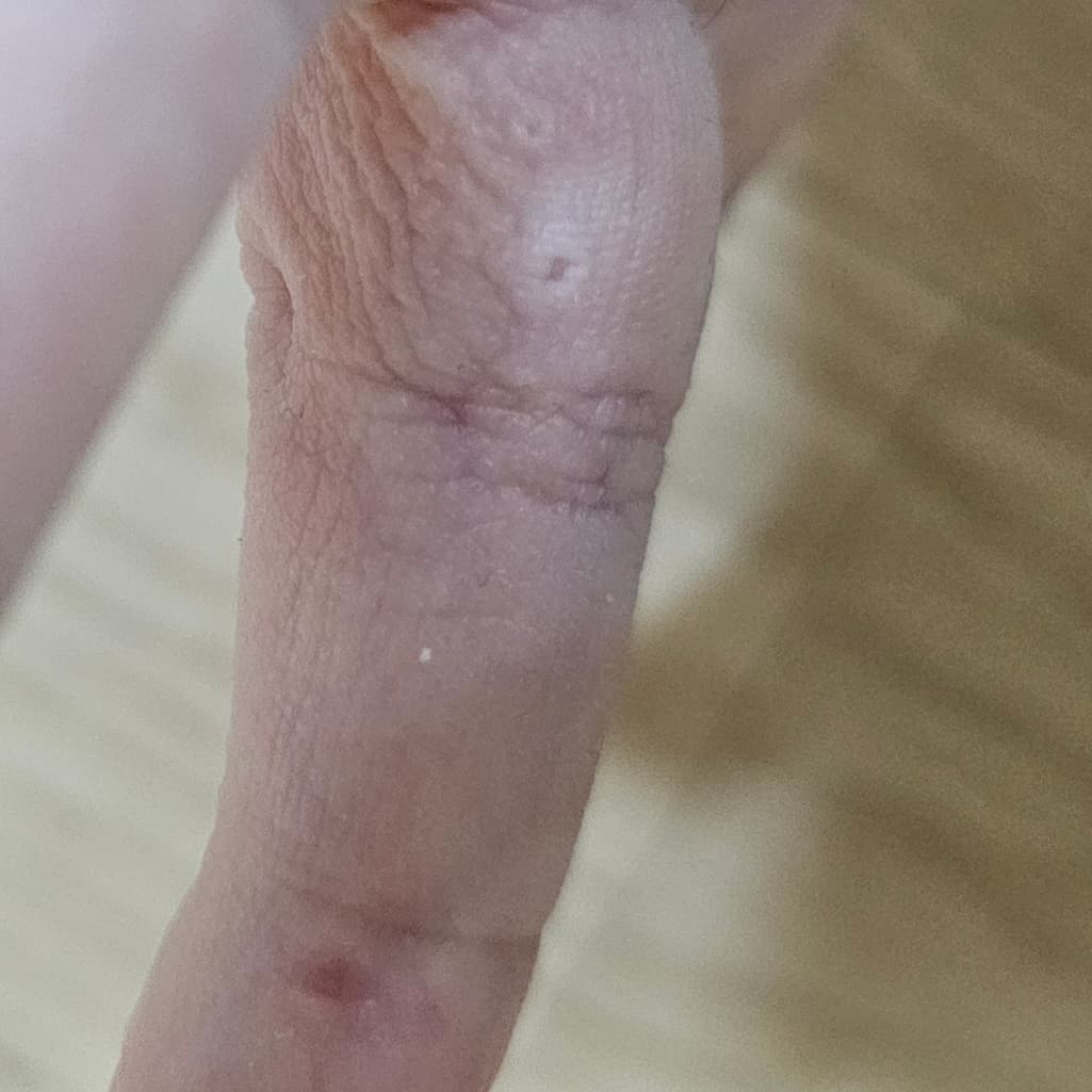 3번 째 사진