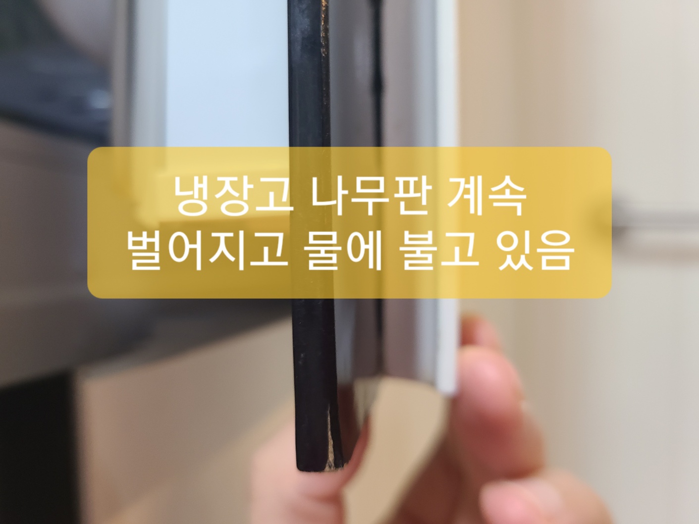 4번 째 사진