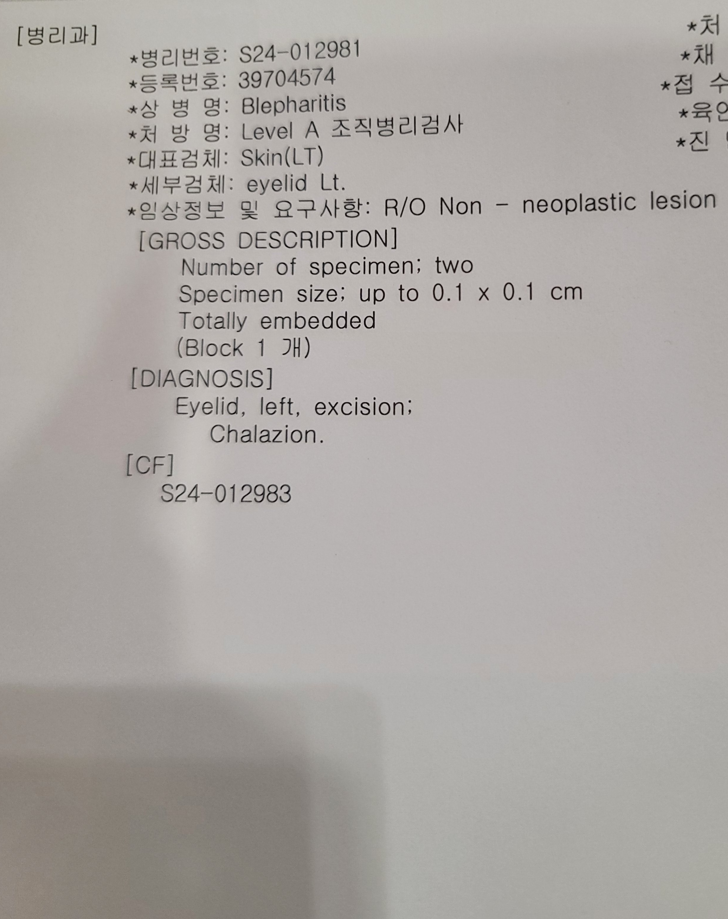 2번 째 사진