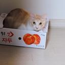 고상한개개비26