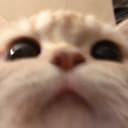 고먐밈