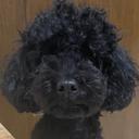 예비고1