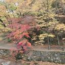 소슬바람