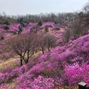 정겨운너구리87