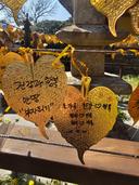 웃는하루되자