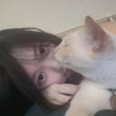 레몬아이스티