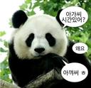 가끔진실된떡볶이