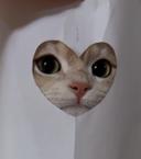 물개냥