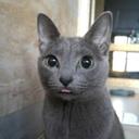 순한호돌이268