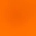 훌륭한오색조174