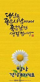 까칠한떄까치174