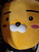 곰돌이의 반란