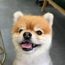 온화한영양35