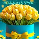 보오뫼