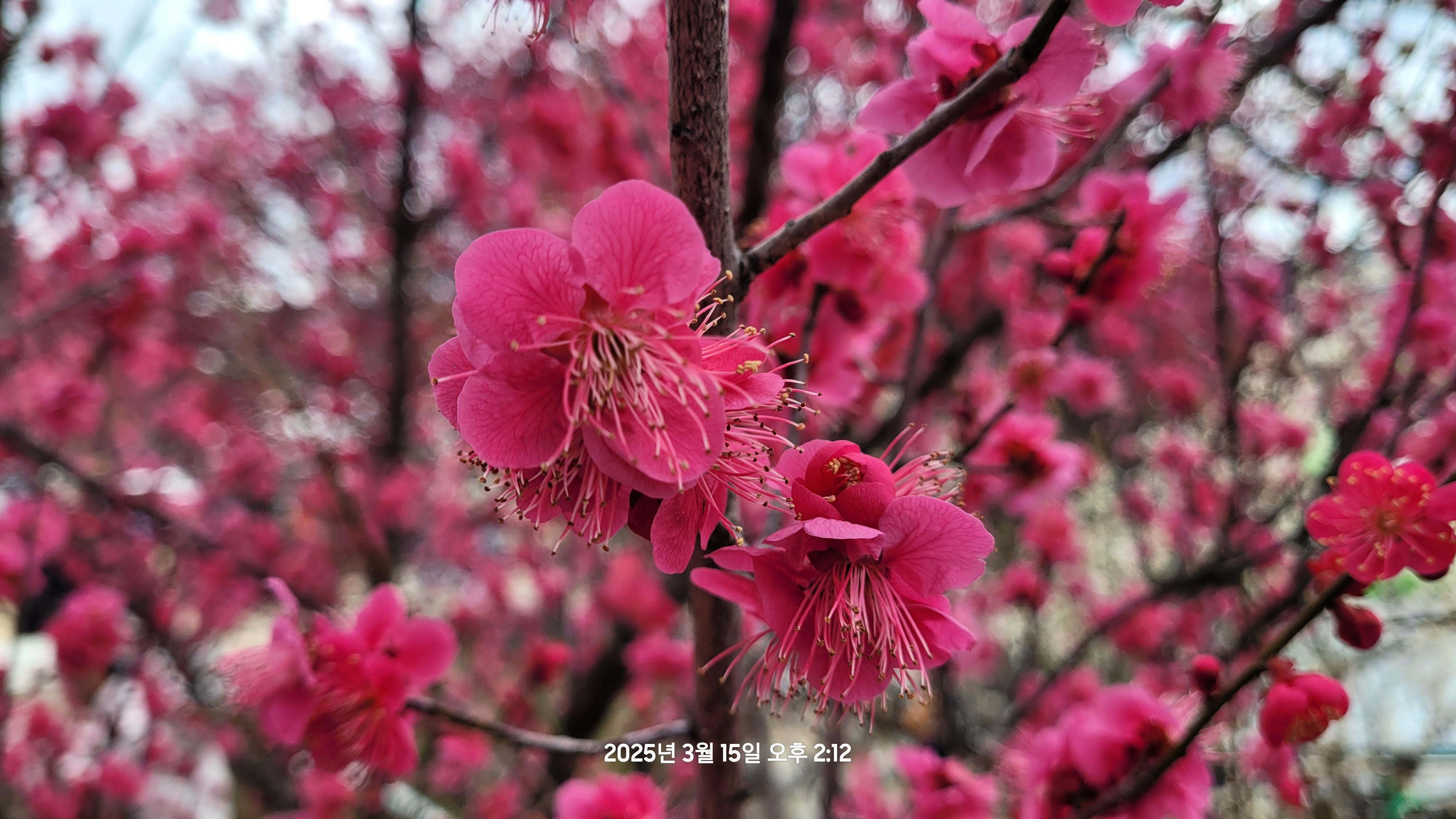 러블리한개미새197
