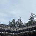귀중한황여새267