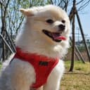 작은곰35