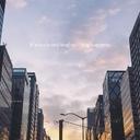 엉뚱한긴꼬리268
