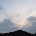 풋풋한호랑이10