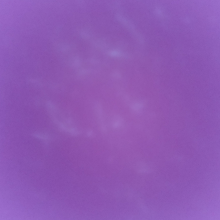 큰코알라134