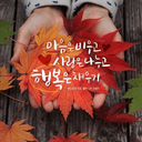 살가운매20
