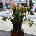 풍족한등에220