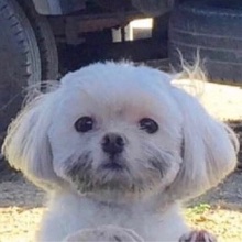 파란노루236
