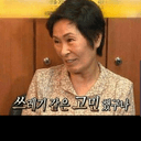 기발한오색조249