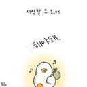 고운친칠라248