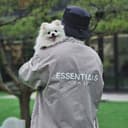 세련된페리카나6