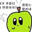청초한줄나비168