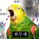 심각한캥거루18